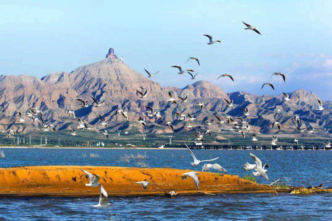 00000000ROXxXfUAsywWSpWT