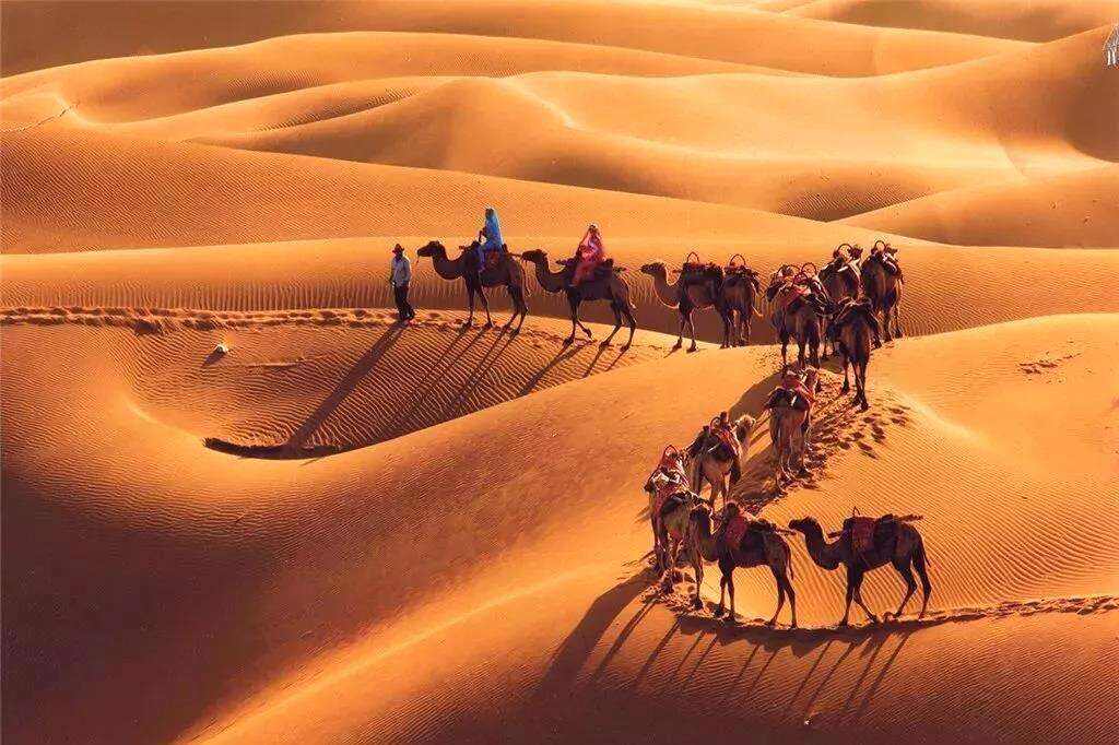 00000000RpSarNWvUWGQaJlk