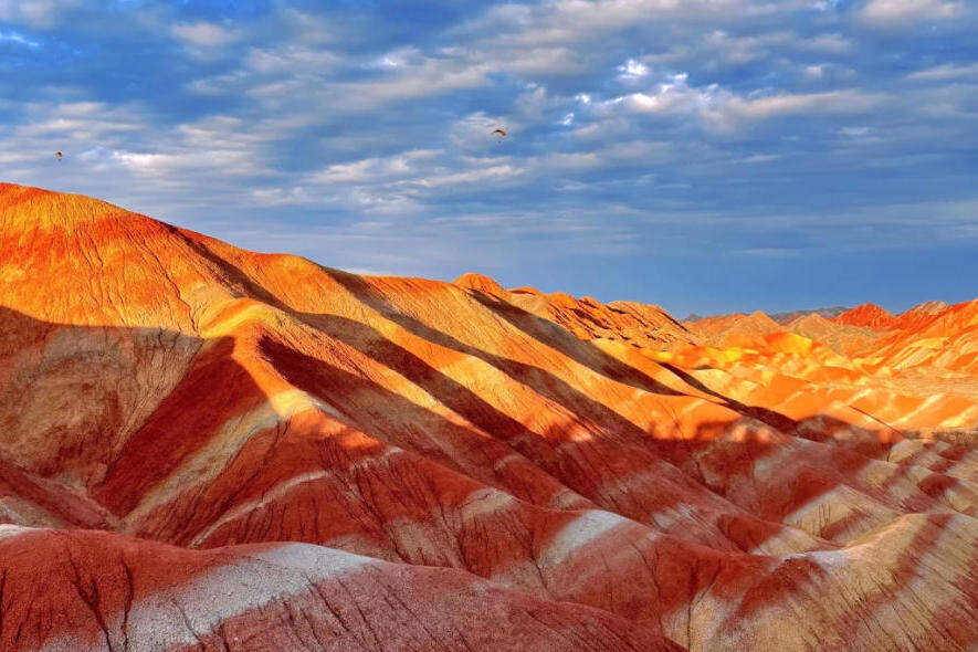 00000000RsOhfVsriCVmvqUg