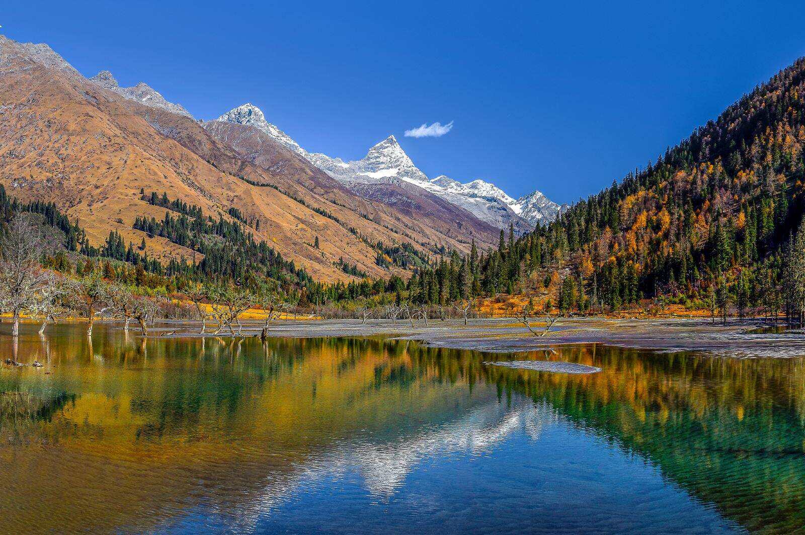 00000000RutTkXVWtNXYrrdE