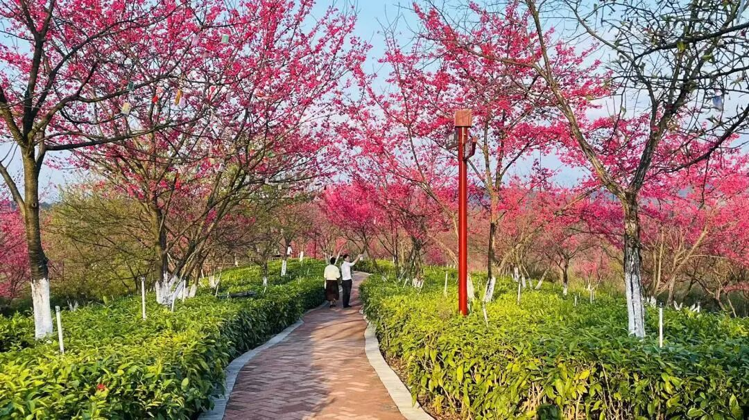 00000000RxJnEFnxjJVbKnXf-1