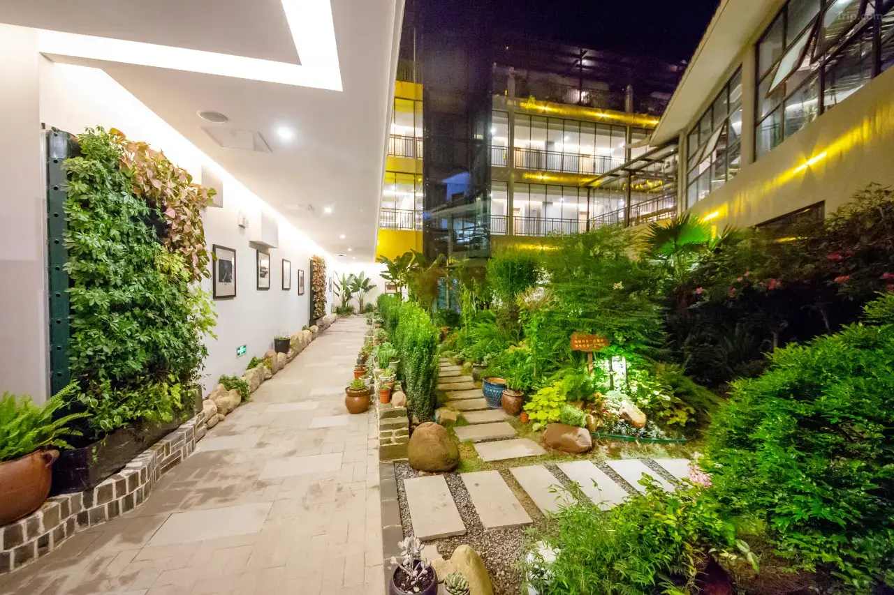 00000000SAjNMjddSnJecKQN