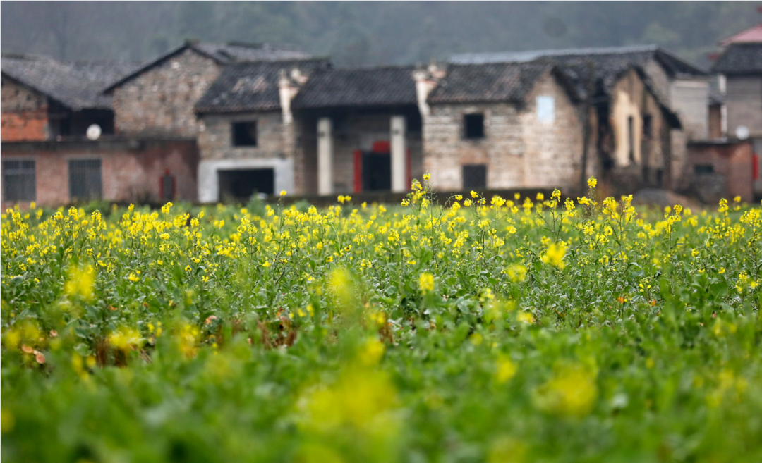 00000000SXKlpiPgdVybOeGR-1