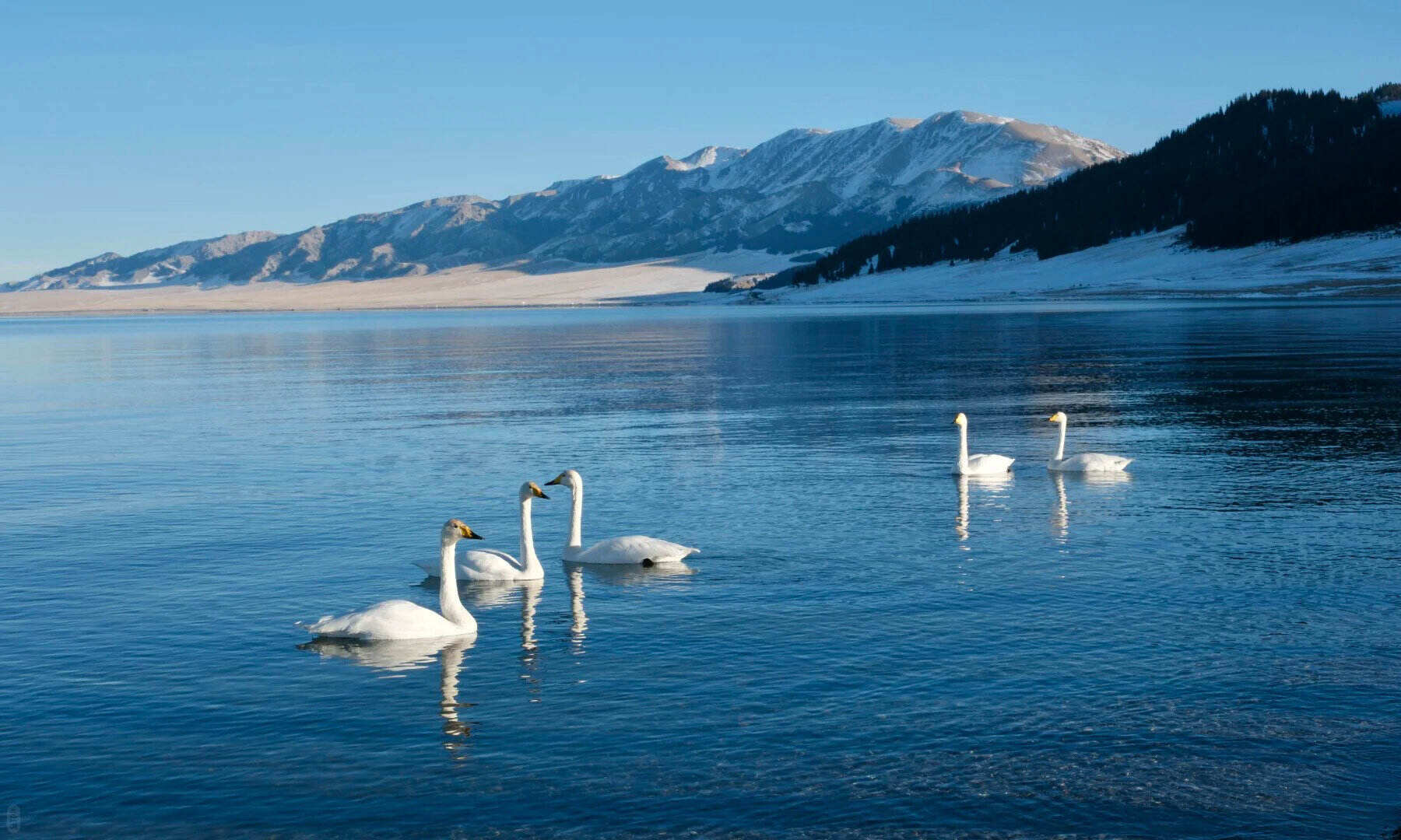 00000000SiQwdYbUVelOxxec 00000000SiQwdYbUVelOxxec