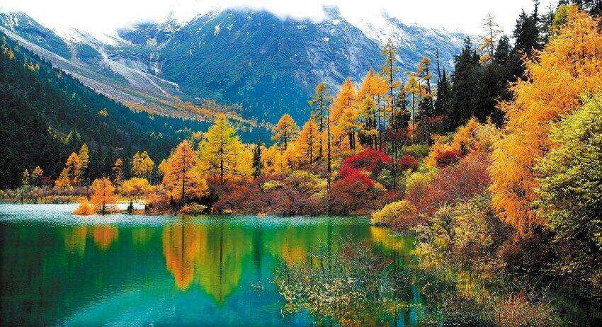 00000000SjJOFurVUgGIRRXk