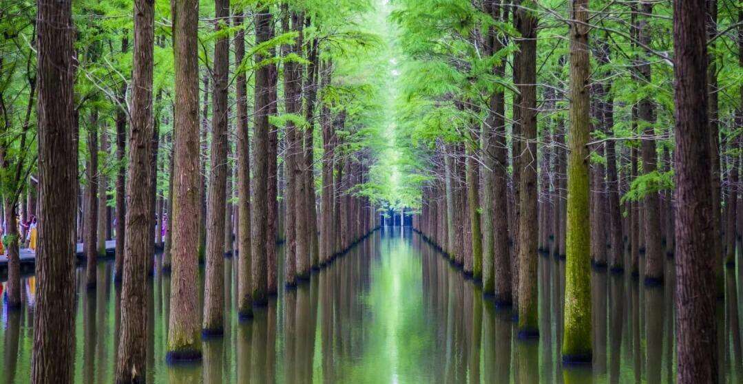 00000000SoGAKmtlDrzevrYK 00000000SoGAKmtlDrzevrYK