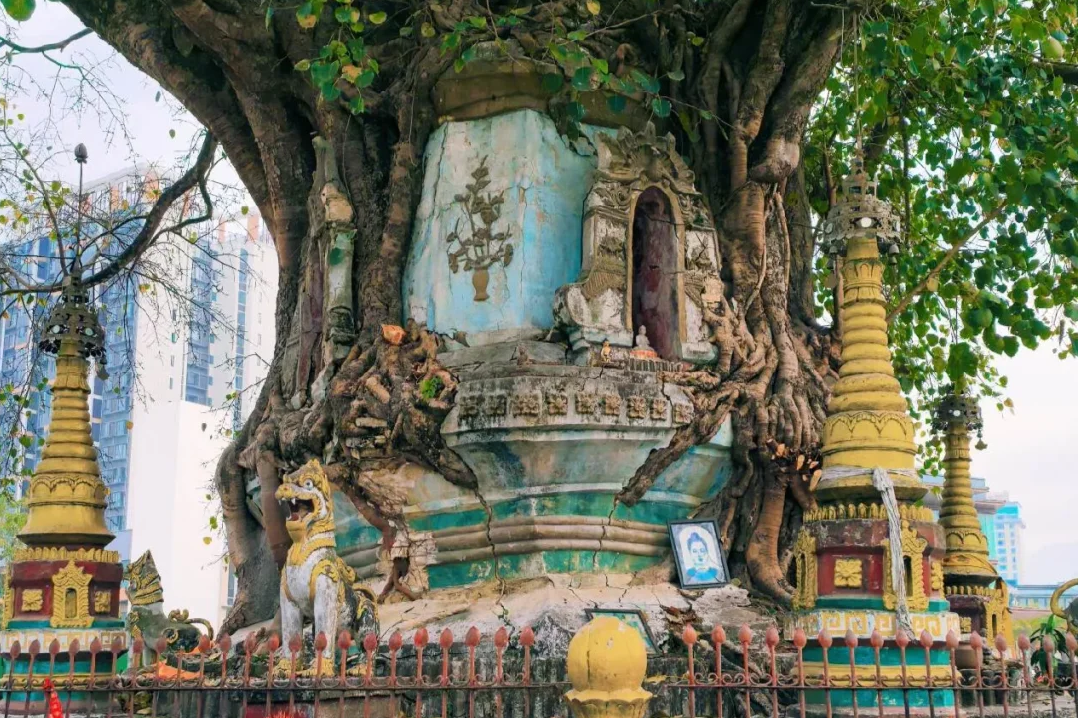 00000000StEDffnxvpjDzbsy 00000000StEDffnxvpjDzbsy