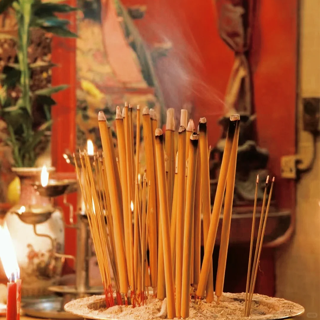 00000000TMscVjmLGnaxyFWy