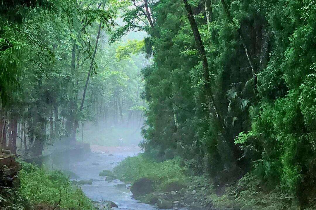 00000000TWmmpIPUKrMZgNYB