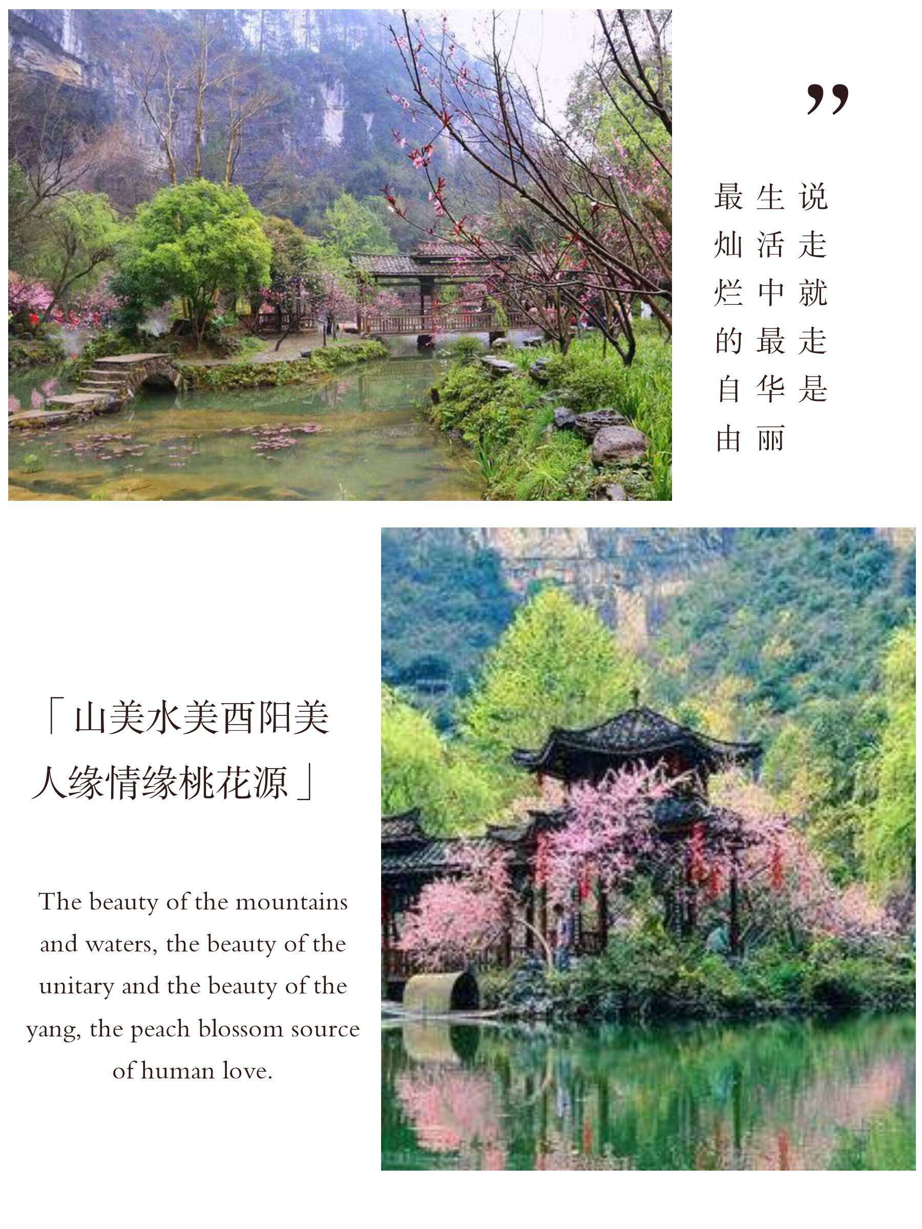 00000000TcbwkGVrdxdDREZO