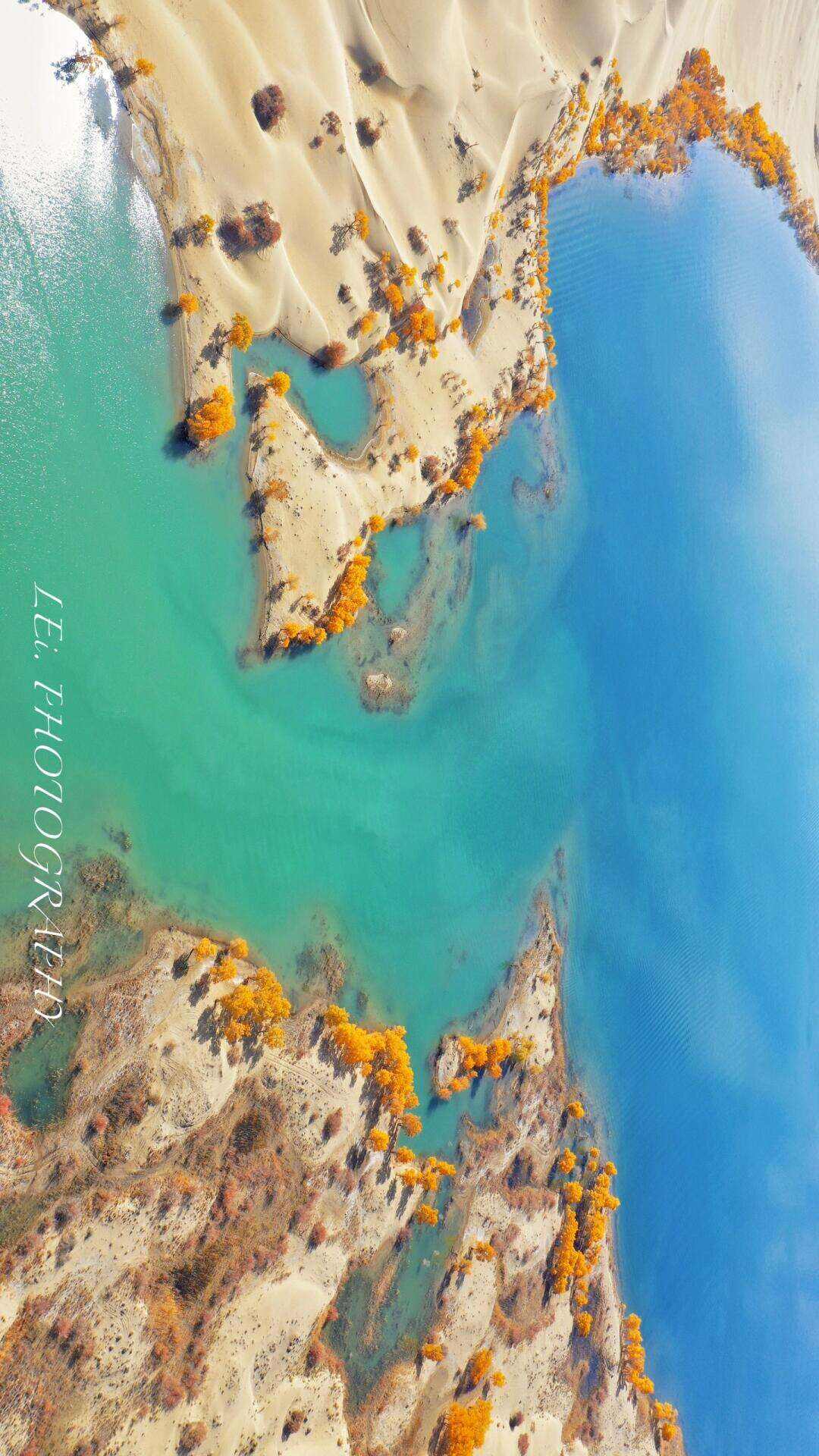 00000000TdvWrwNmYcrSbarf-1 00000000TdvWrwNmYcrSbarf-1