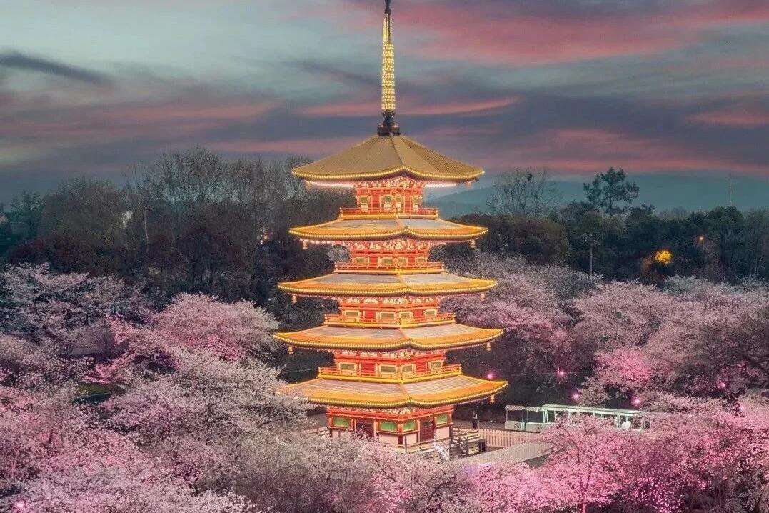 00000000TfhQoYHhIvWkCsHt