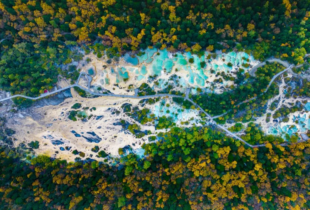 00000000ThvhECRVrFFPFkmj