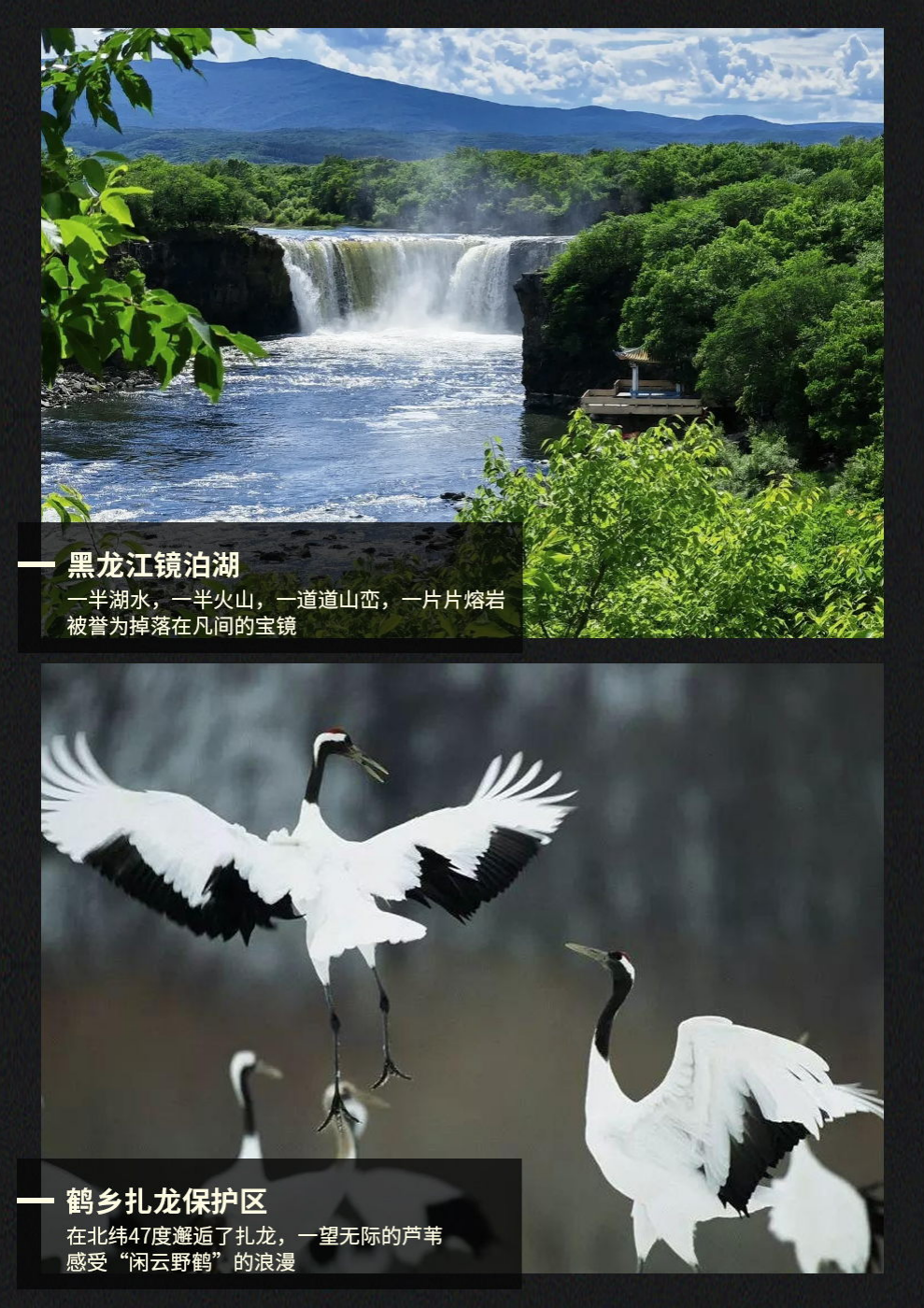 00000000ToKyMhuCfyvPIXol 00000000ToKyMhuCfyvPIXol