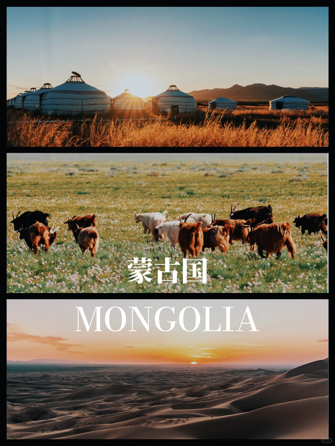 00000000TrabINBdClmoDtOv 00000000TrabINBdClmoDtOv