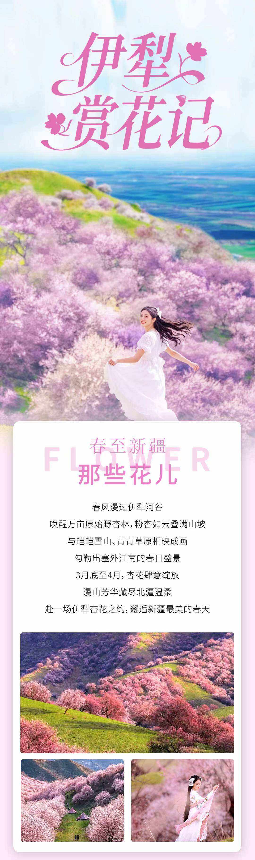 00000000UfIOrzPLtZKxnwKa 00000000UfIOrzPLtZKxnwKa