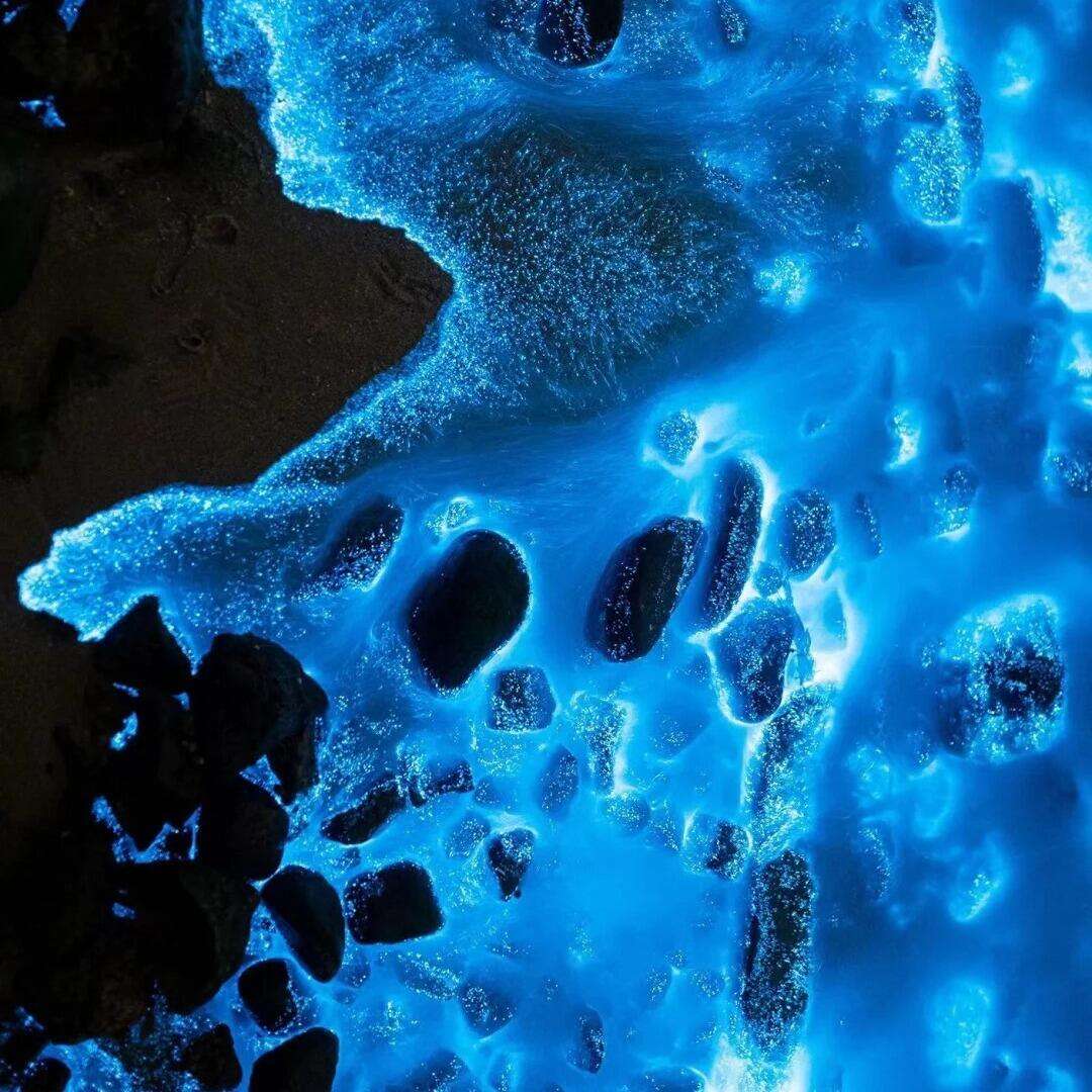 00000000UjzRFZXhWakiDLkM-1