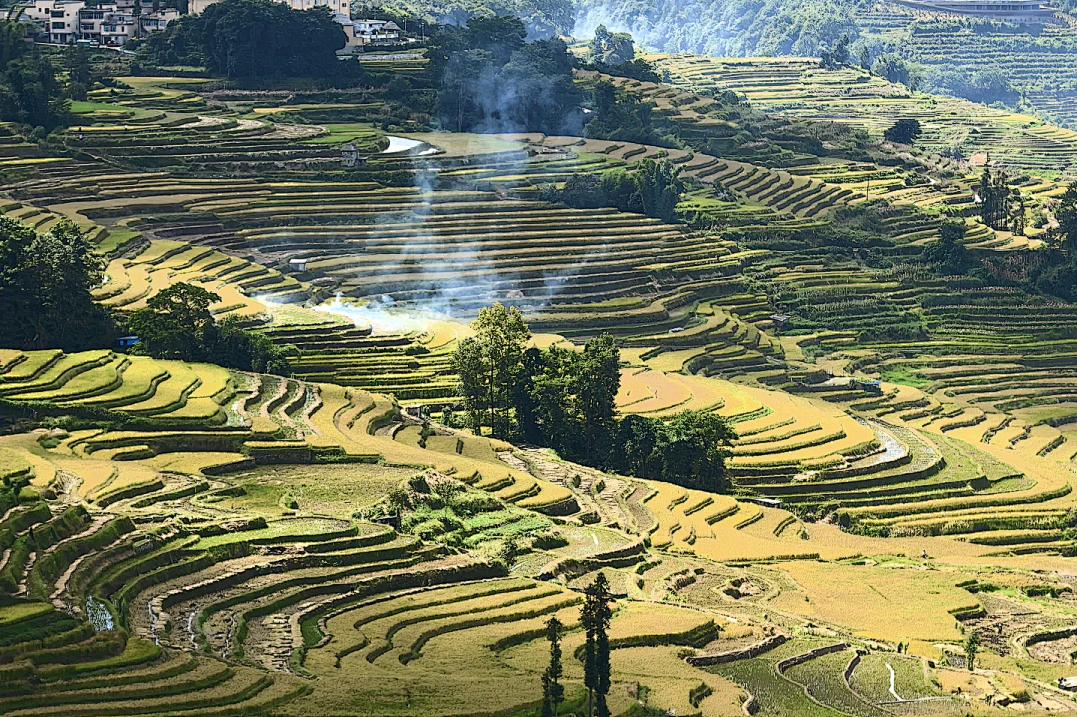 00000000UkxcAXpeMKPGNQOo