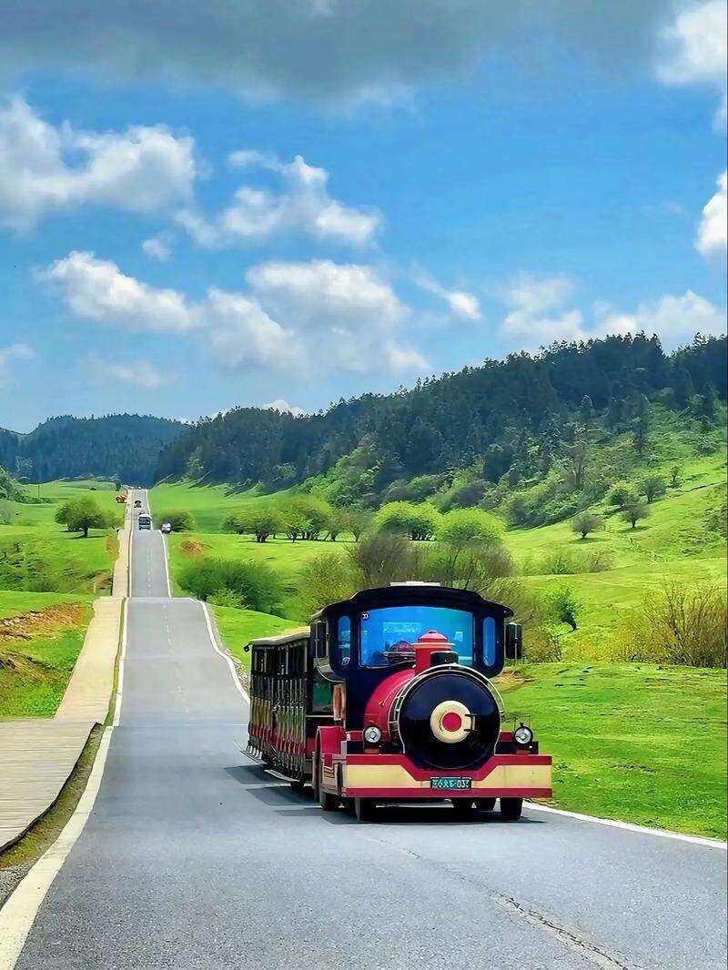 00000000VPimDPPucAetftmm