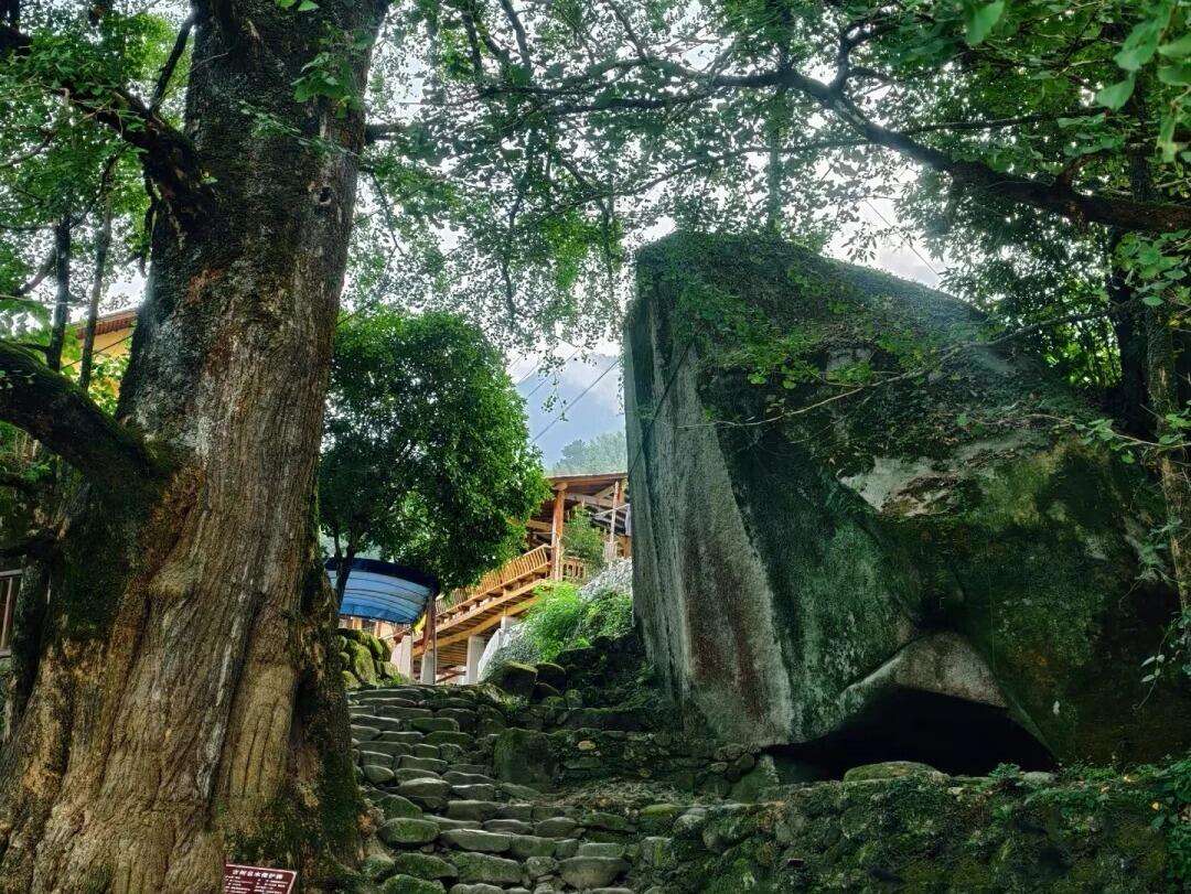 00000000VZShBBCuyLlwuNPh