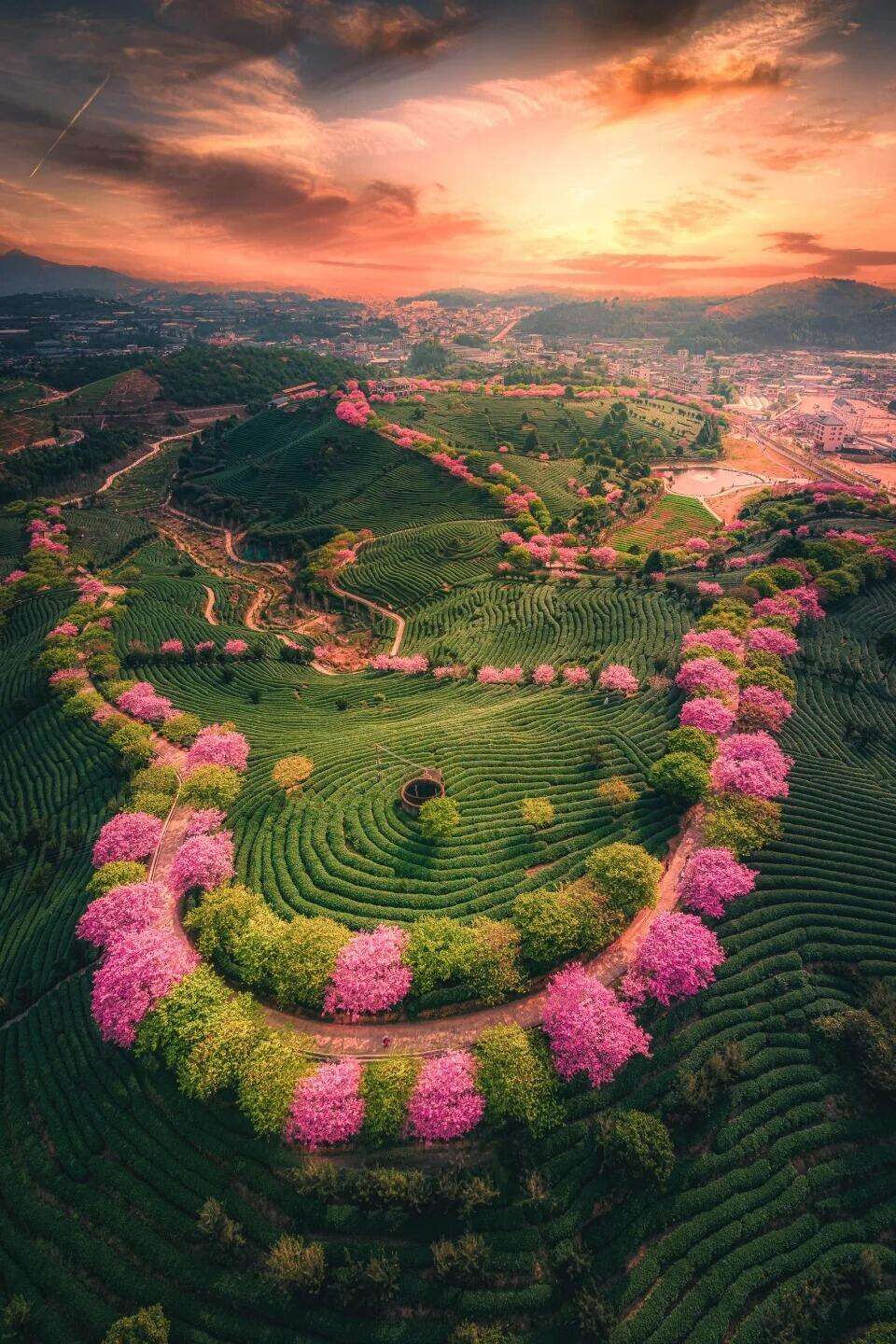 00000000VZtDiBdwORcGQuBi