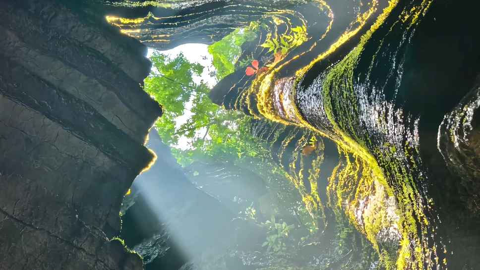 00000000VabtkegrUEpBkGqz