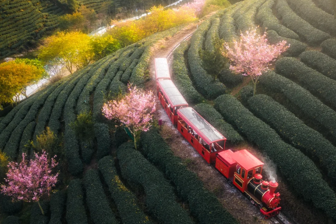 00000000VchFYhXemSUKYDTy-1