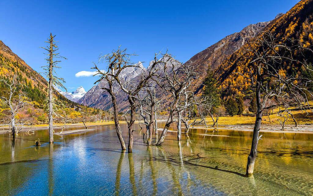 00000000VoUNgQTvqdPIypFe