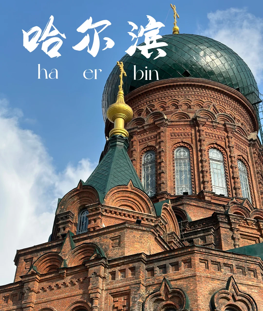 00000000VohqmJWYFOXZjVEX 00000000VohqmJWYFOXZjVEX