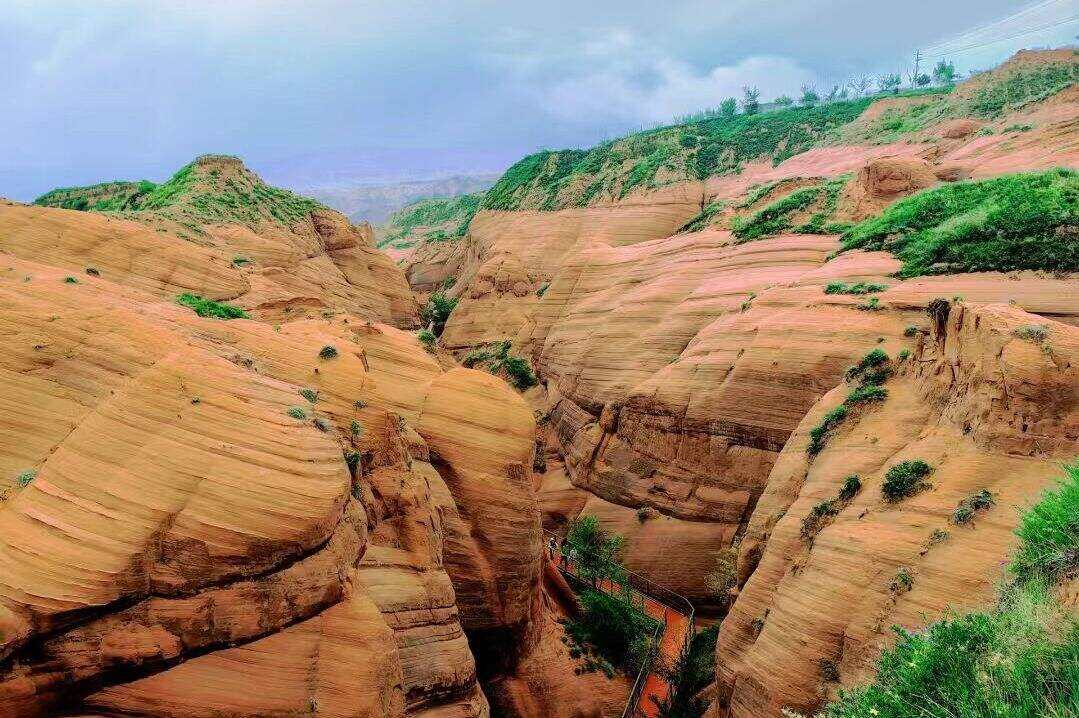 00000000WMONAkLmelLsWVPK