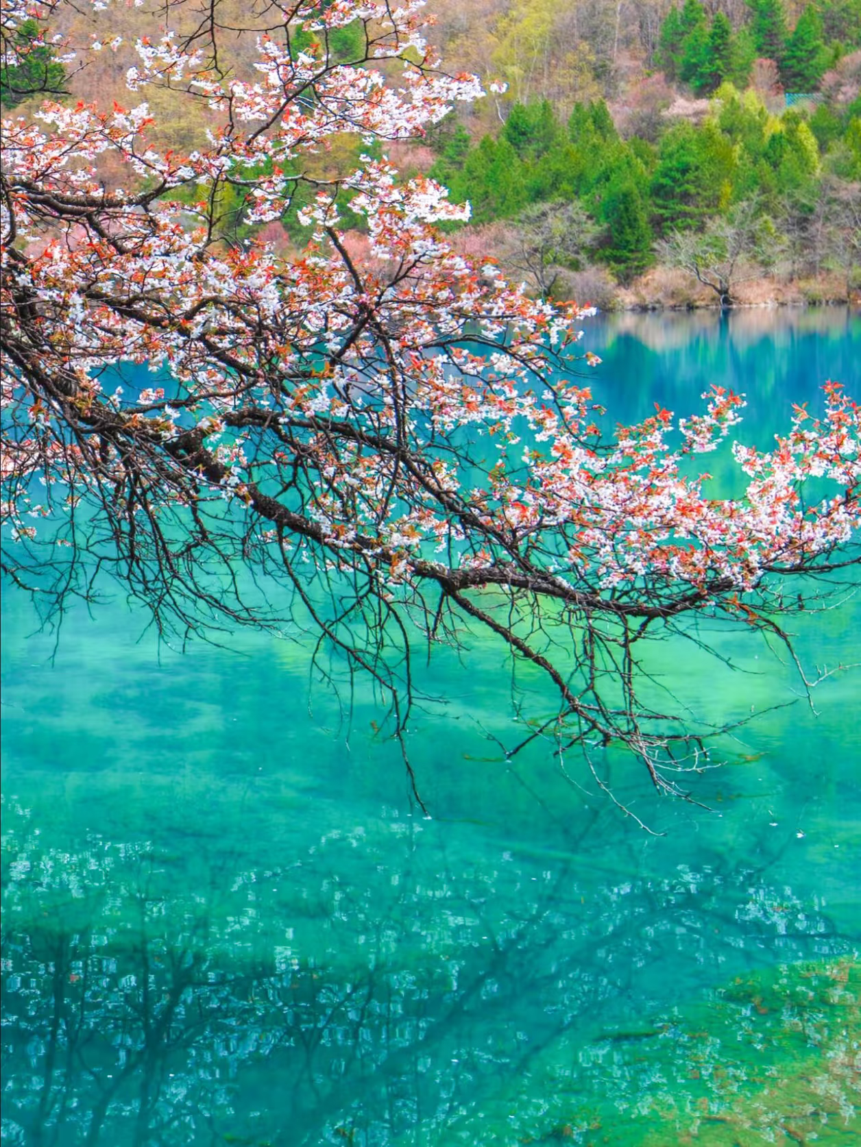 00000000WPUTwVEITYLuNKbl