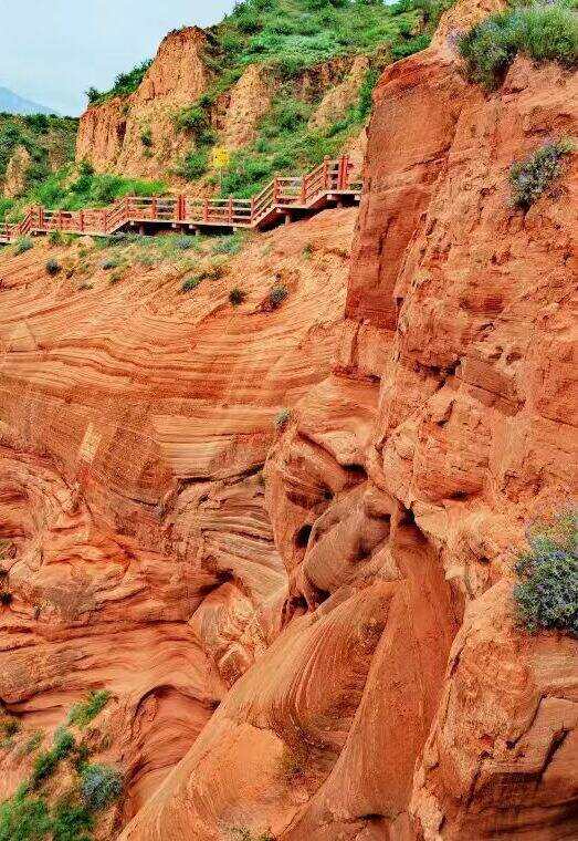 00000000WdOFDsnvonTAcDpm