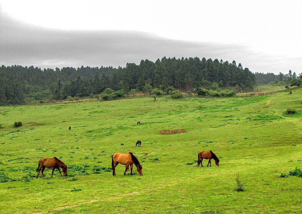 00000000WedmSBpCqVXCTnHn