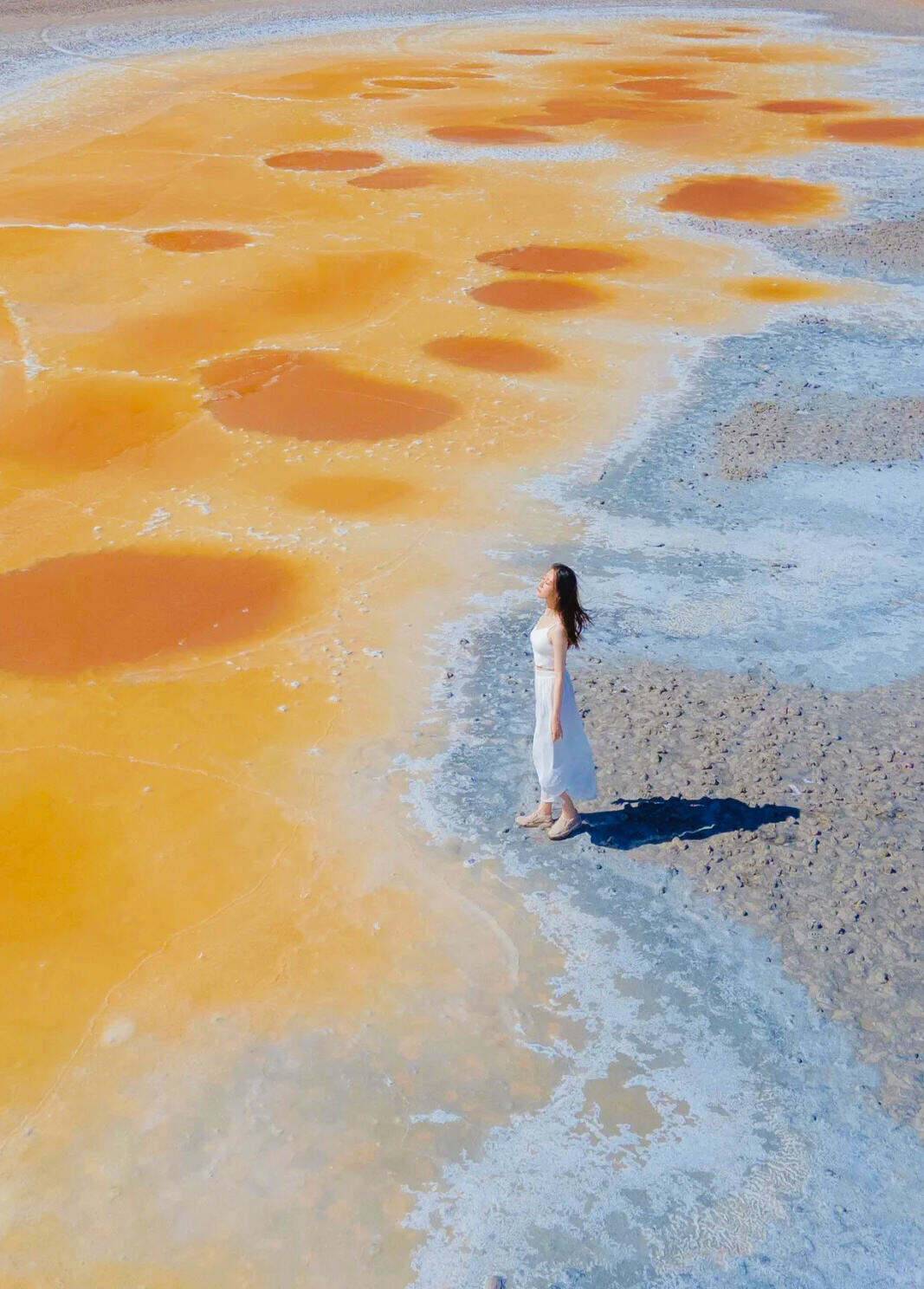 00000000WihvdggdVagNBjkp