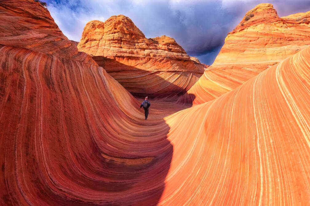 00000000XGQFWjxlvYhHOMjF