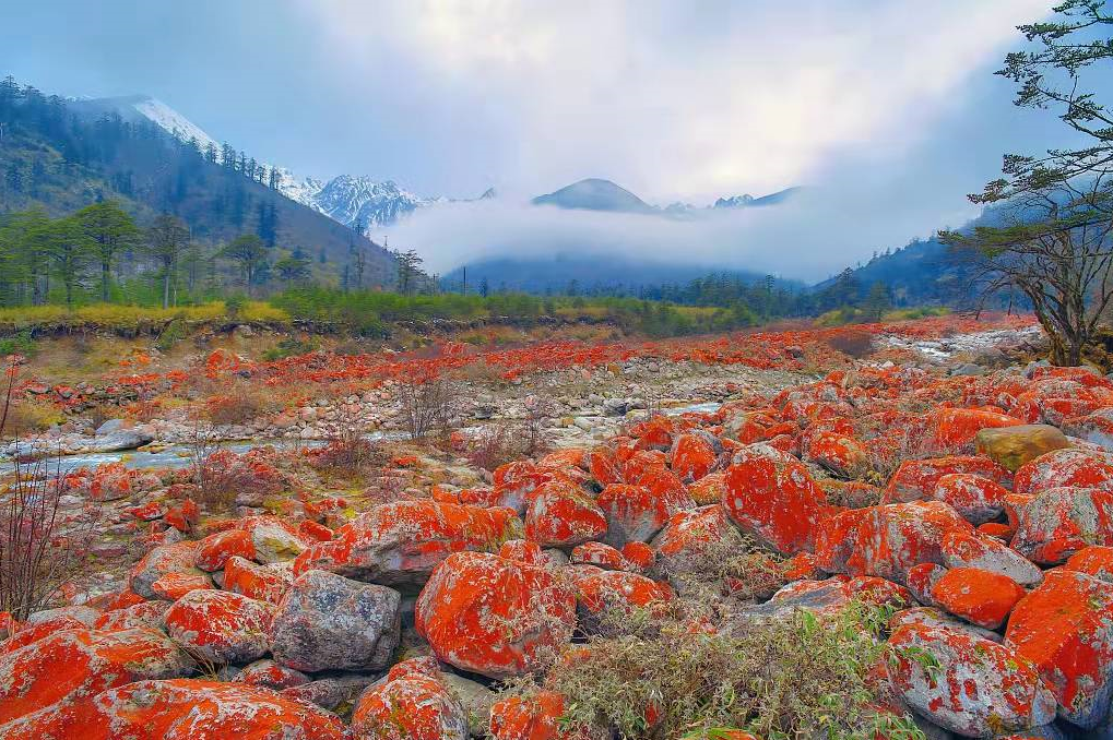 00000000XGWENIByFaqwxUBV