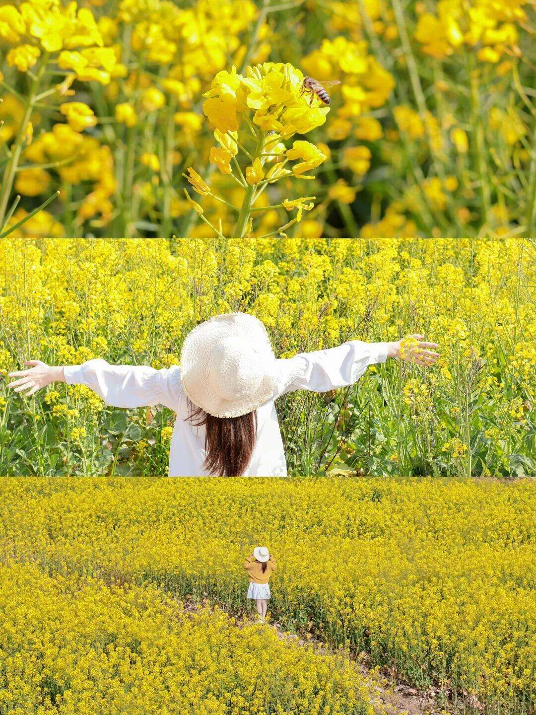 00000000XJIxqWByWPFpqjBB