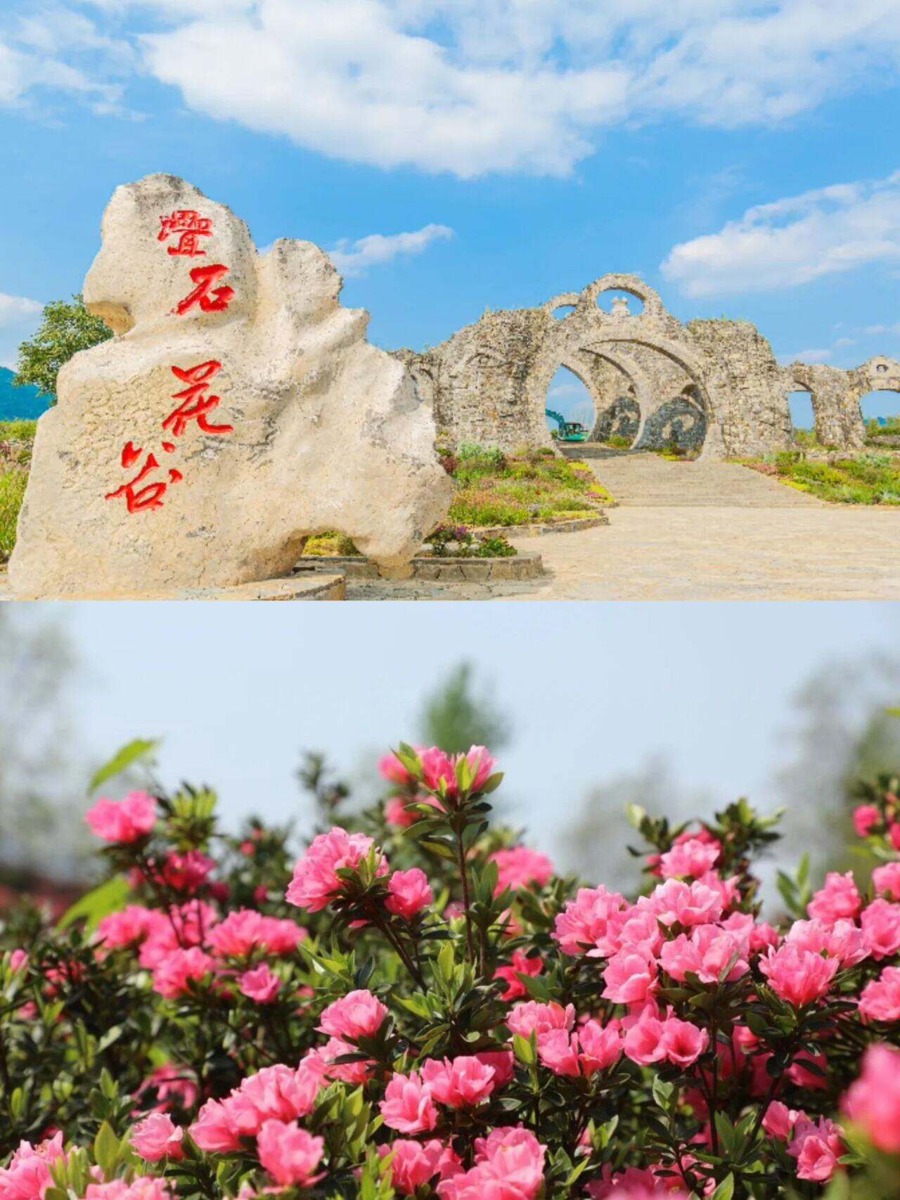 00000000XTxOkqstzbXnNvgs