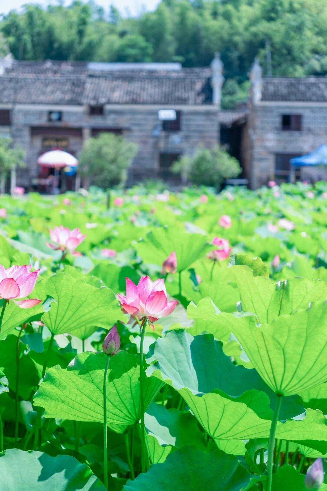 00000000XXNwmJOJsATsKoVw 00000000XXNwmJOJsATsKoVw