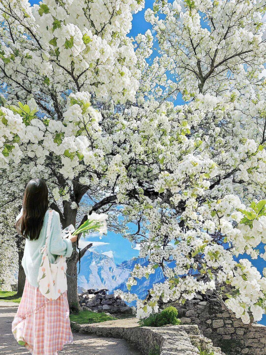 00000000XfWEIVQtOigqRvfD