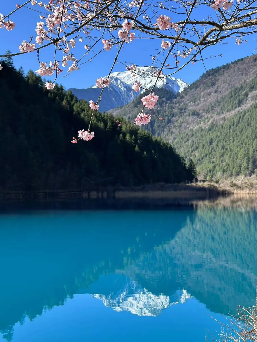 00000000YRXSfKQoLLdRYATA