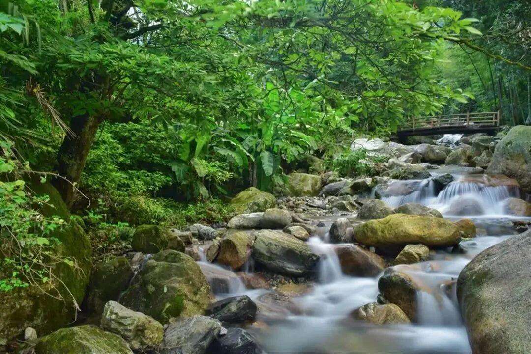 00000000YaxdMbAsTgeYVDjX