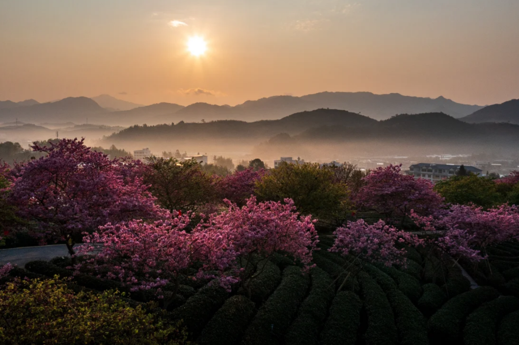 00000000YmCbbvBGylXbFQVa-1