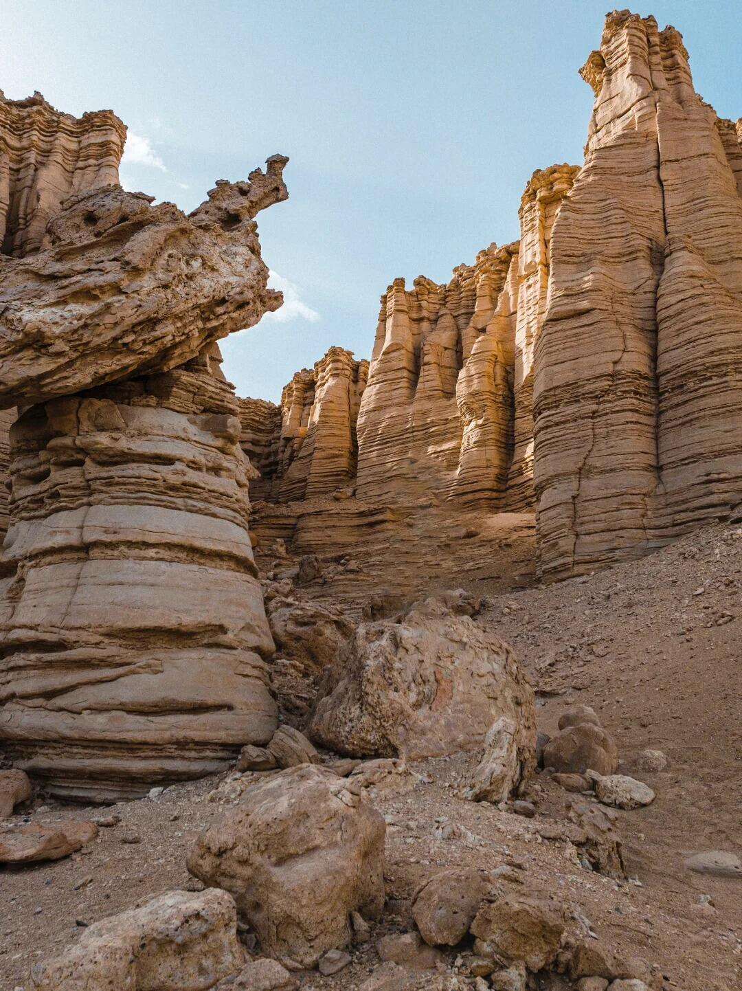 00000000YoDtroIgZMNUMuII