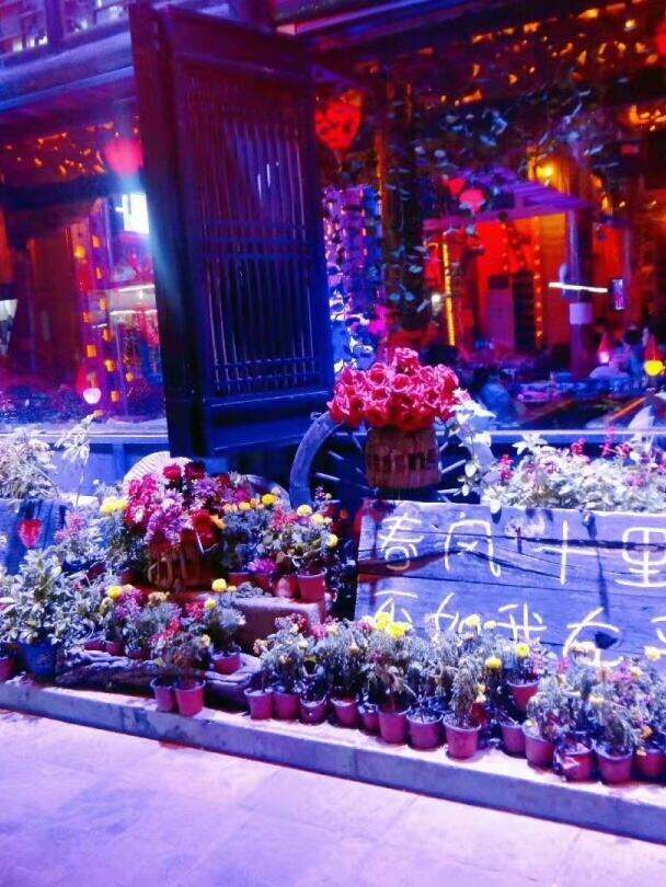 00000000YvsvrOgXOHNFHBpG