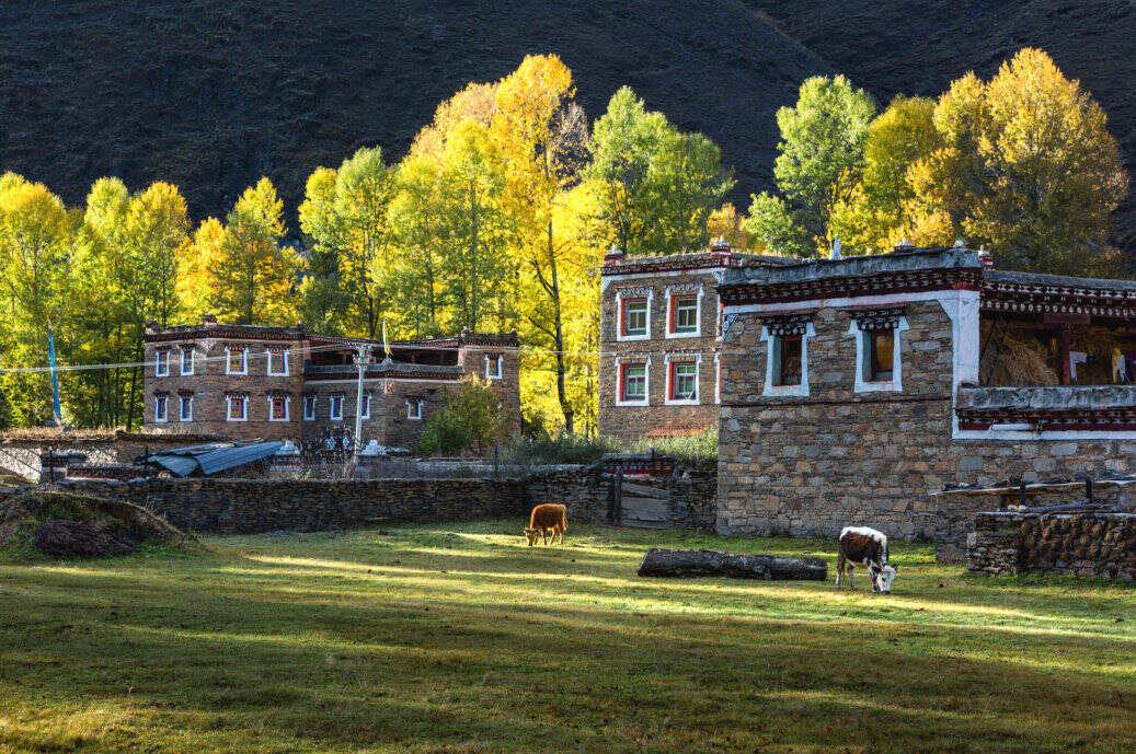 00000000ZQmqahxRbpnZQcTm