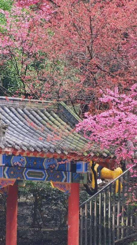 00000000ZaWnHwaaOElULIss 00000000ZaWnHwaaOElULIss