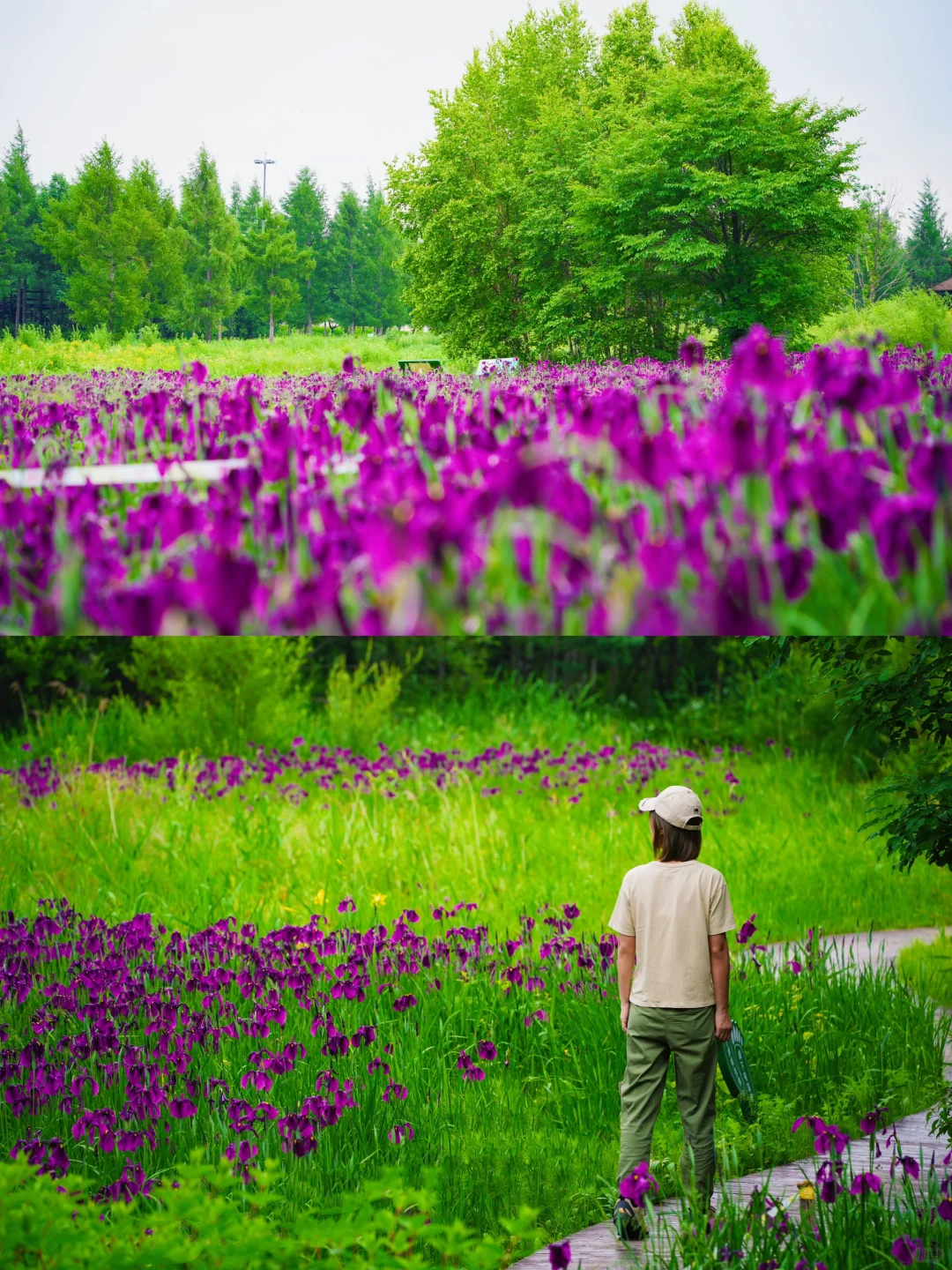 00000000ZygcXSLAiHzyxkCX 00000000ZygcXSLAiHzyxkCX