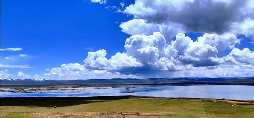 00000000aDTSdOoGFCJtFkBR