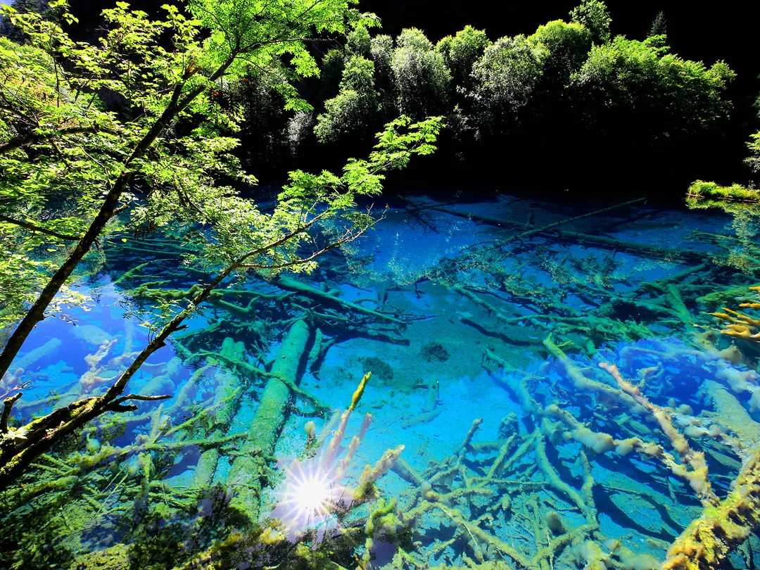 00000000aLRbOeoJfkywfVok